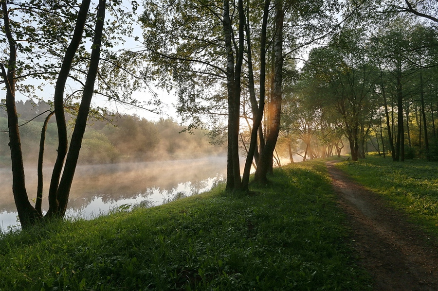 Фото жизнь