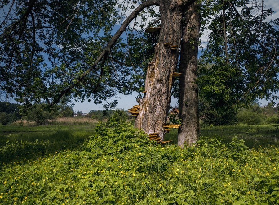 Фото жизнь