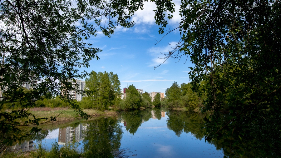 Фото жизнь