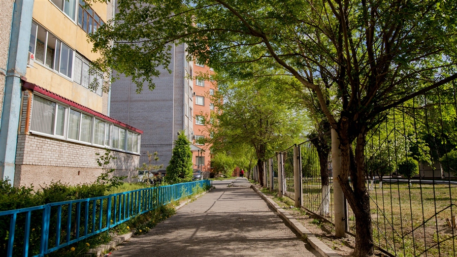 Фото жизнь