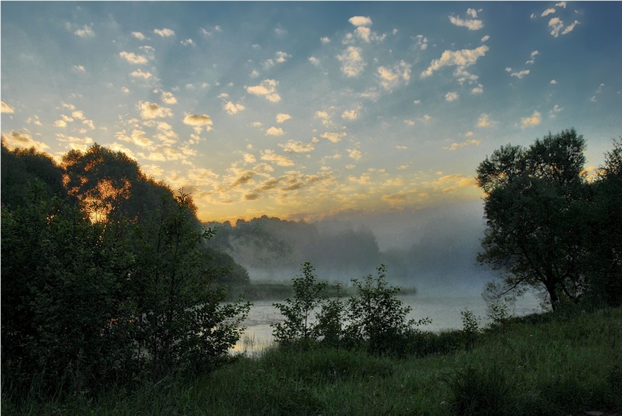 Фото жизнь