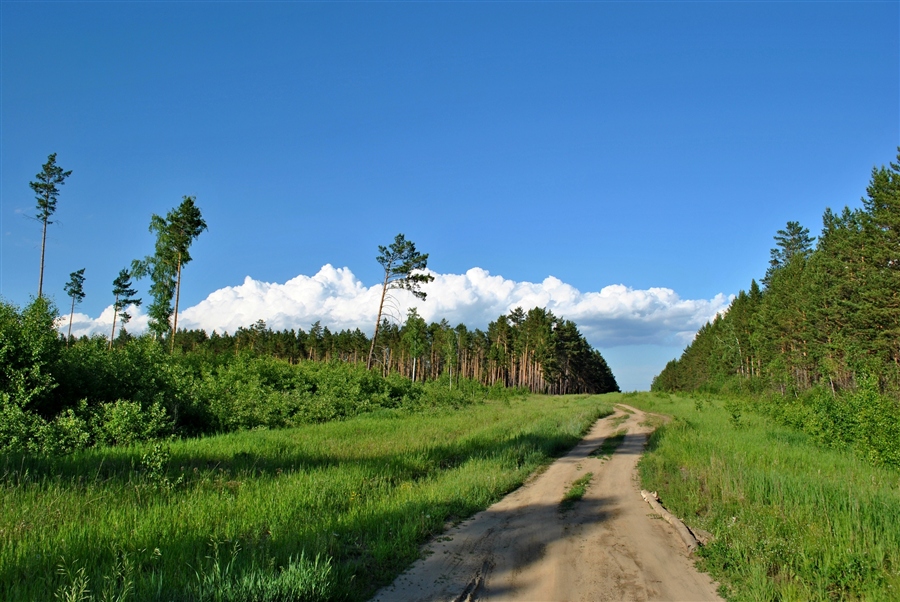 Фото жизнь