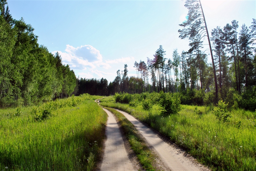 Фото жизнь
