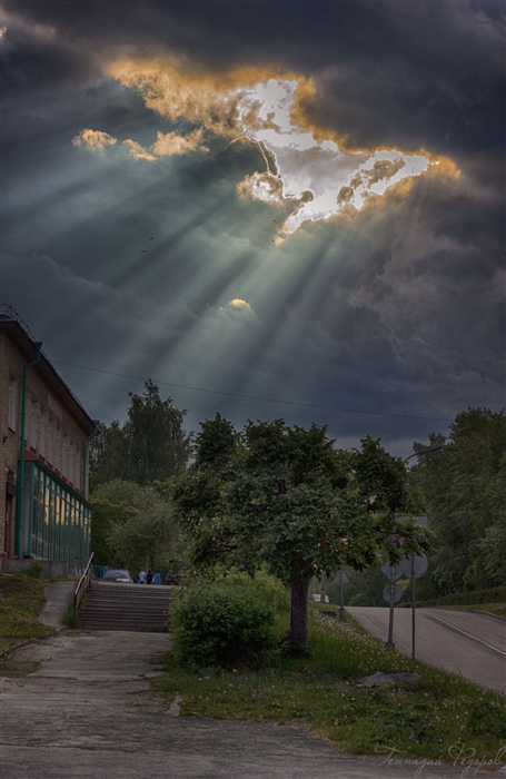 Фото жизнь