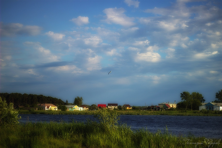 Фото жизнь