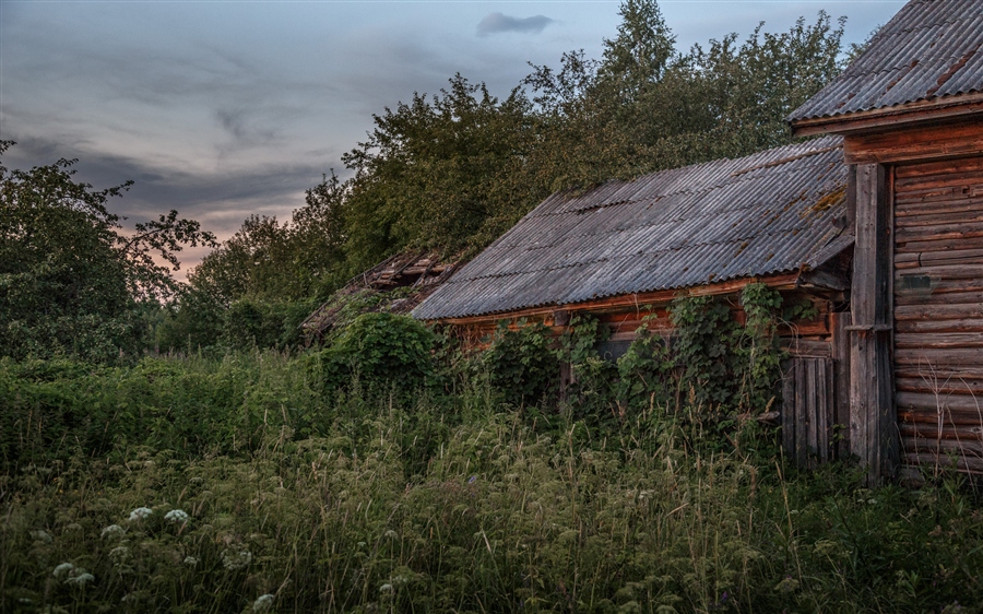 Фото жизнь