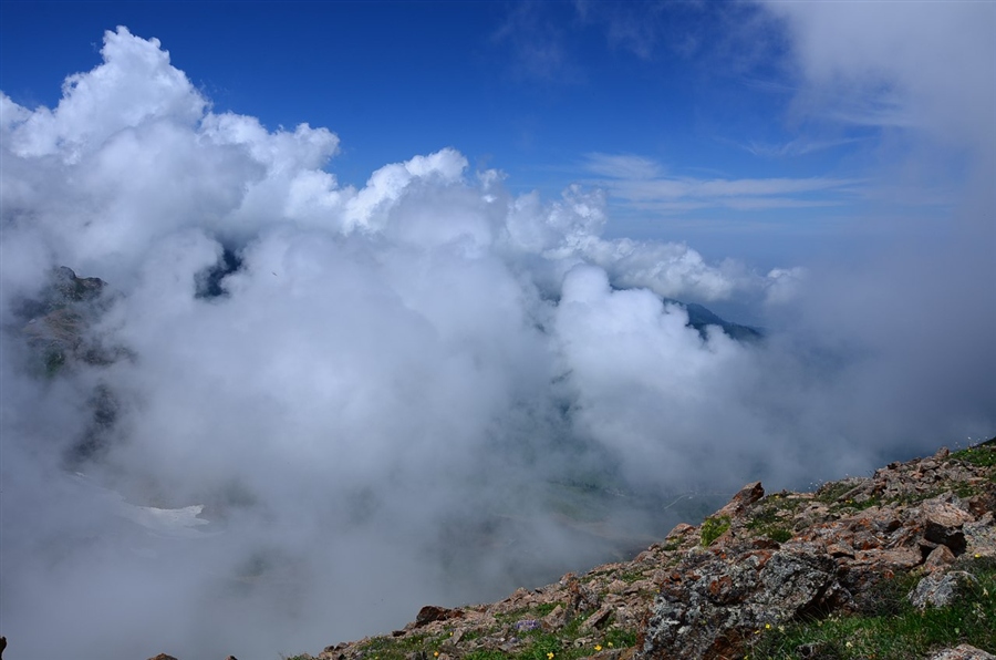 Фото жизнь