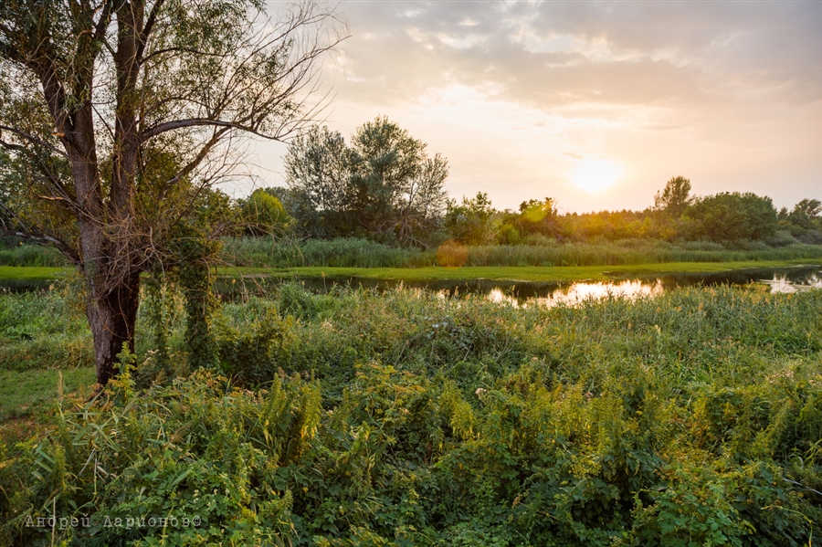 Фото жизнь