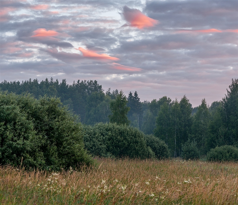 Фото жизнь