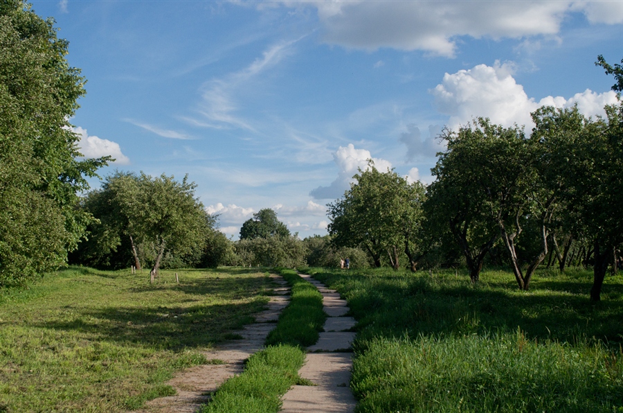 Фото жизнь