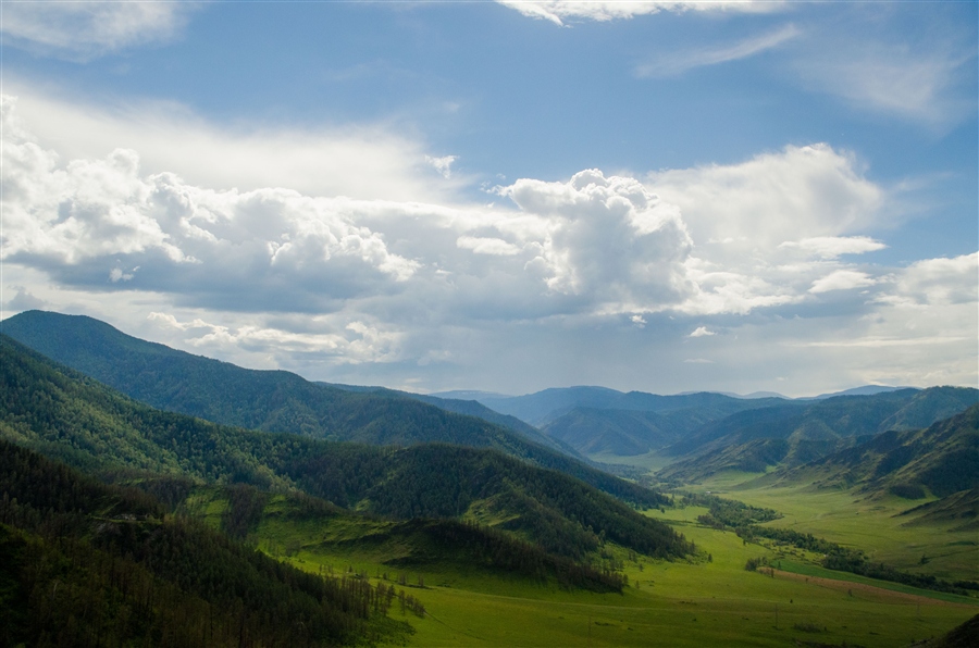 Фото жизнь