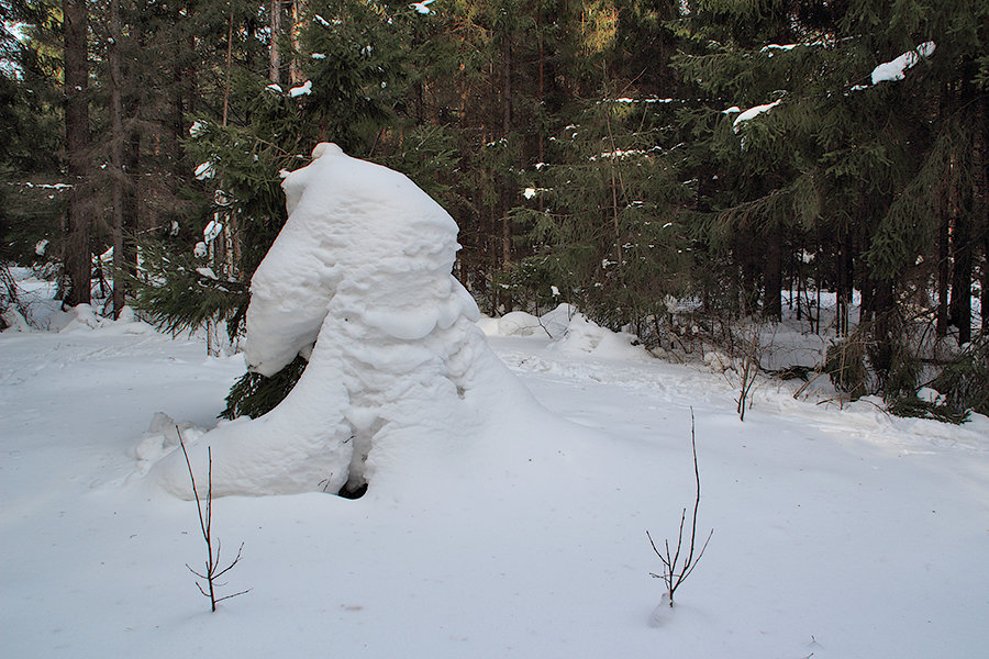 Фото жизнь (light) - Талбутдинов. Валерий. - корневой каталог - Снежные человеческие скульптуры в лесу