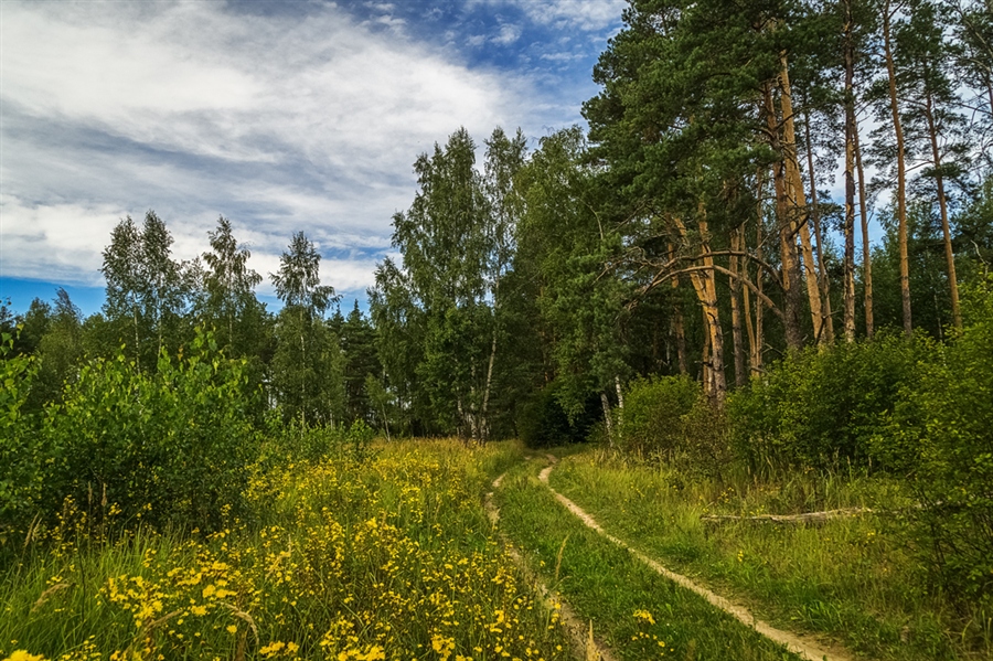 Фото жизнь