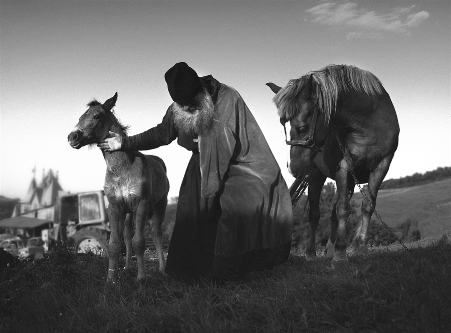 Фото жизнь