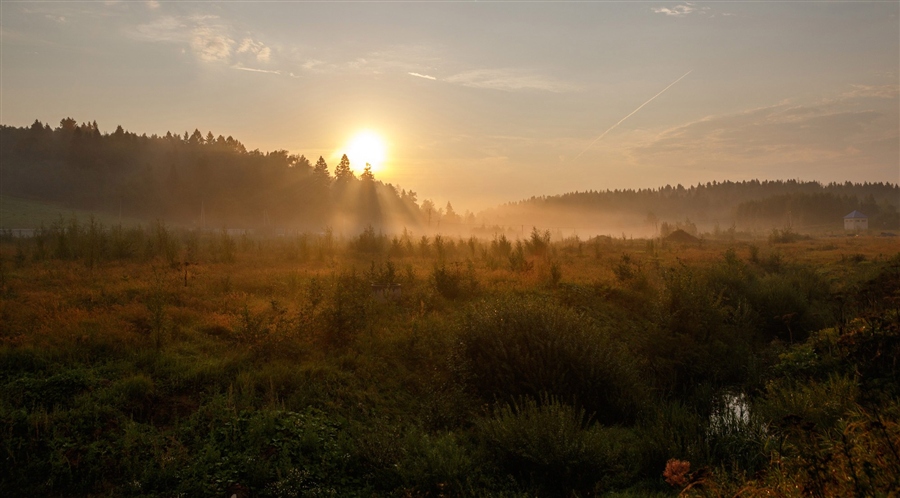 Фото жизнь