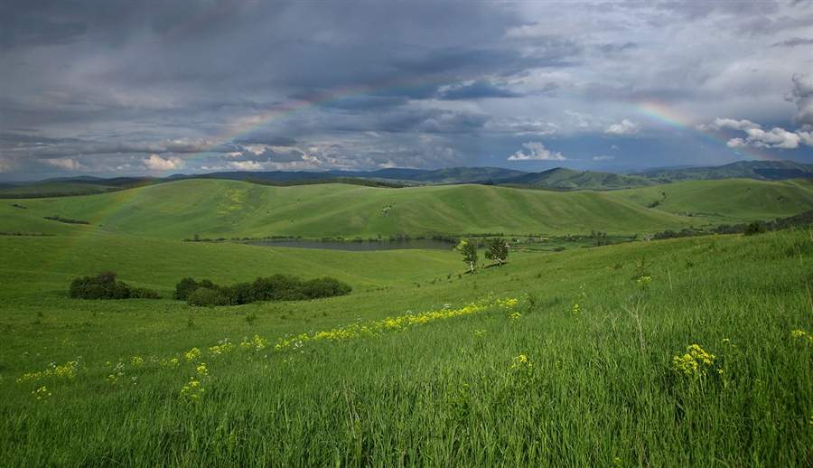 Фото жизнь