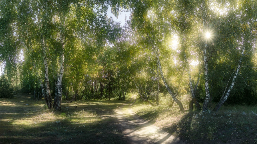 Фото жизнь