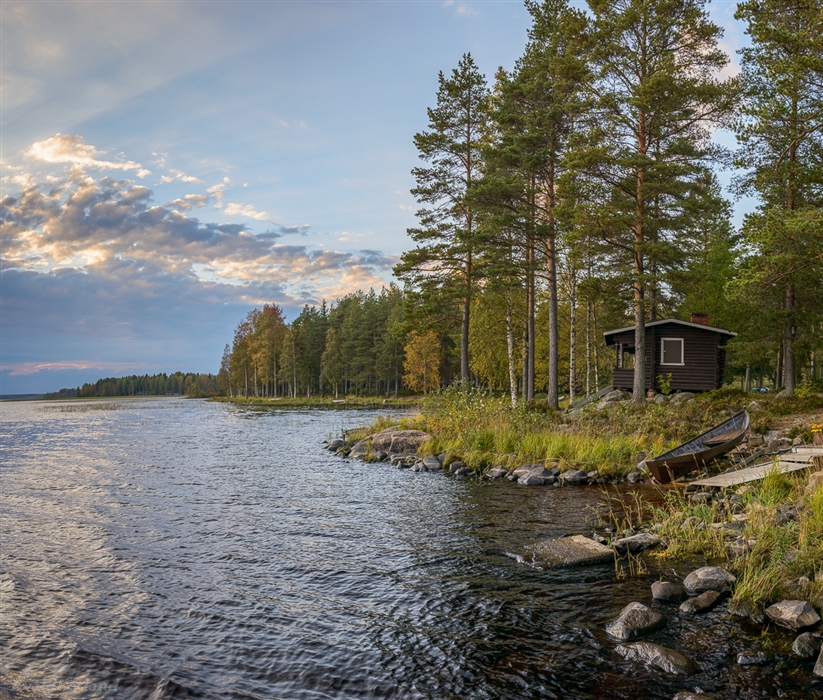 Фото жизнь