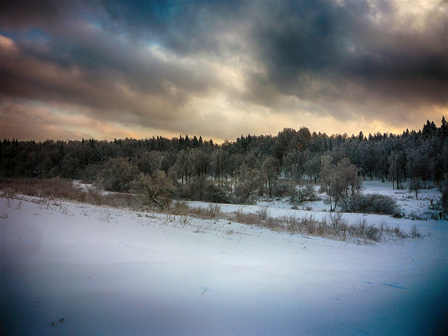 Фото жизнь