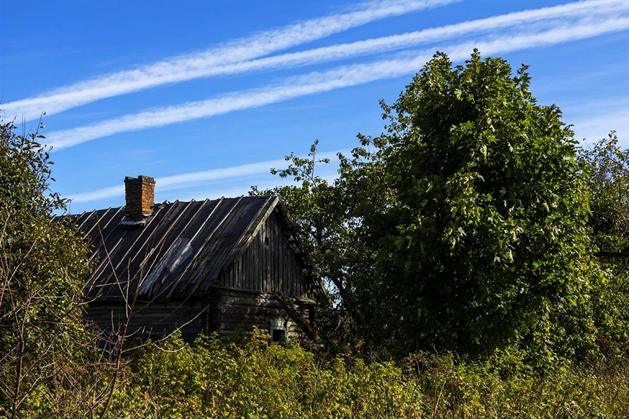 Фото жизнь