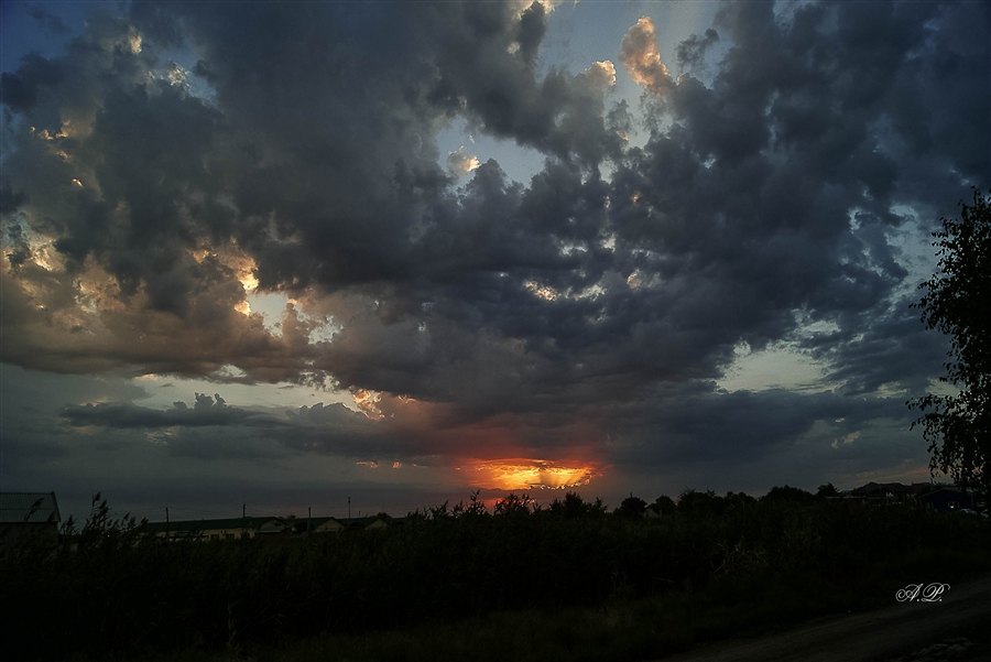 Фото жизнь