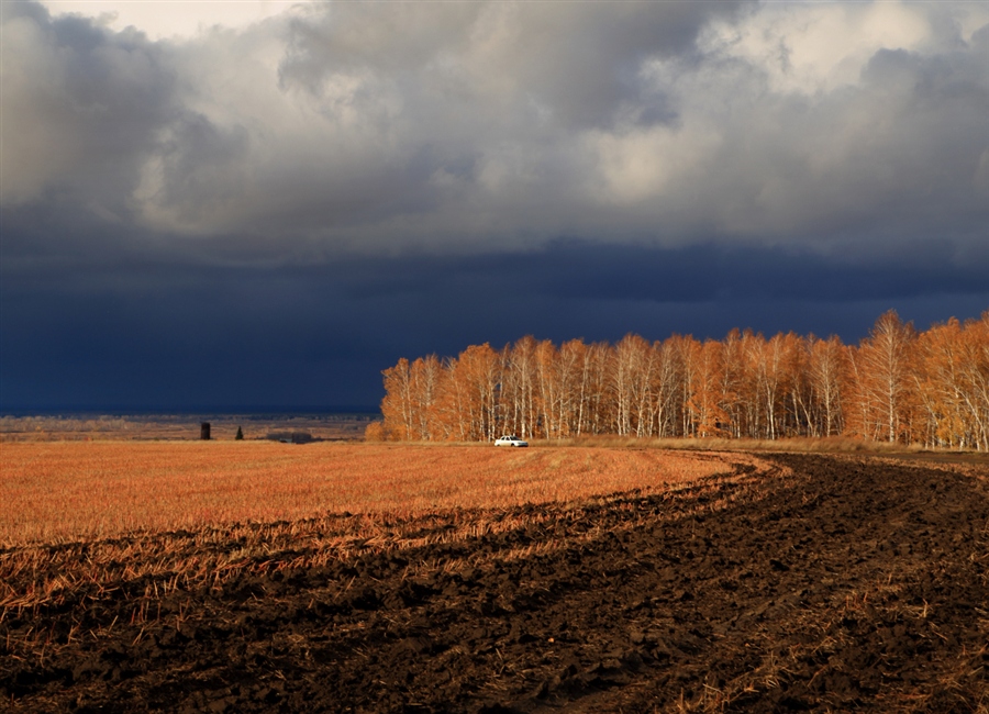 Фото жизнь