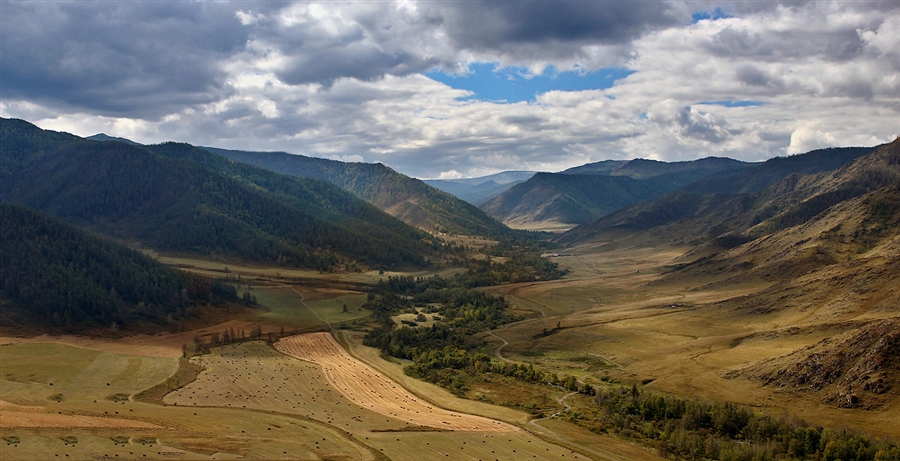Фото жизнь
