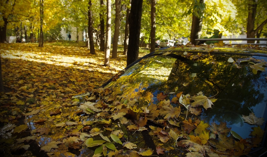 Фото жизнь