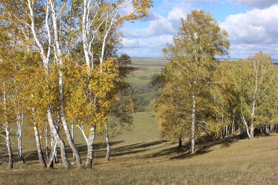 Фото жизнь