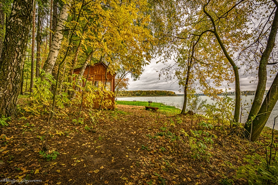 Фото жизнь
