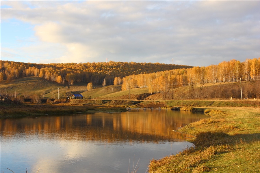 Фото жизнь