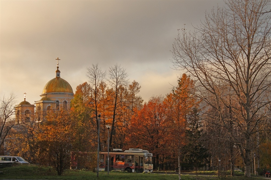 Фото жизнь