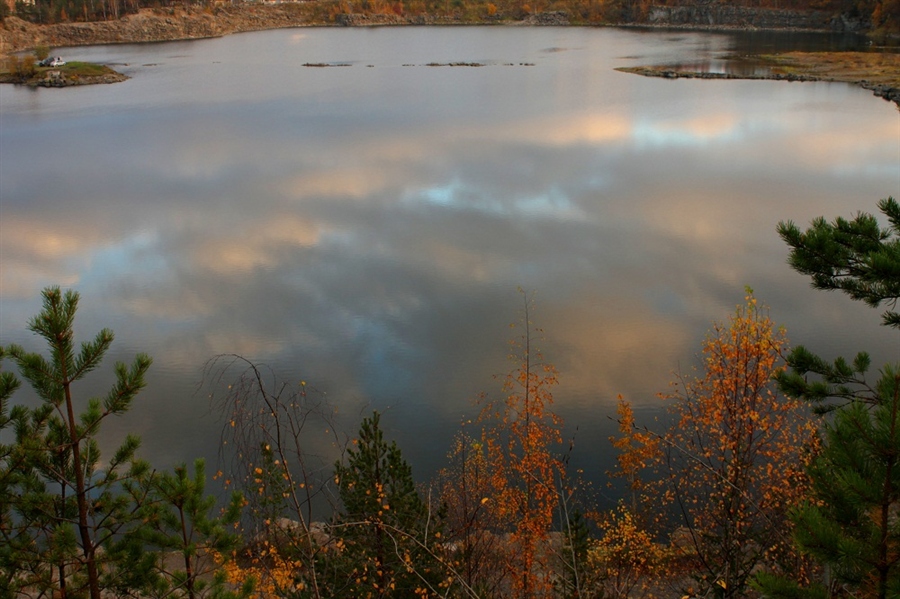 Фото жизнь