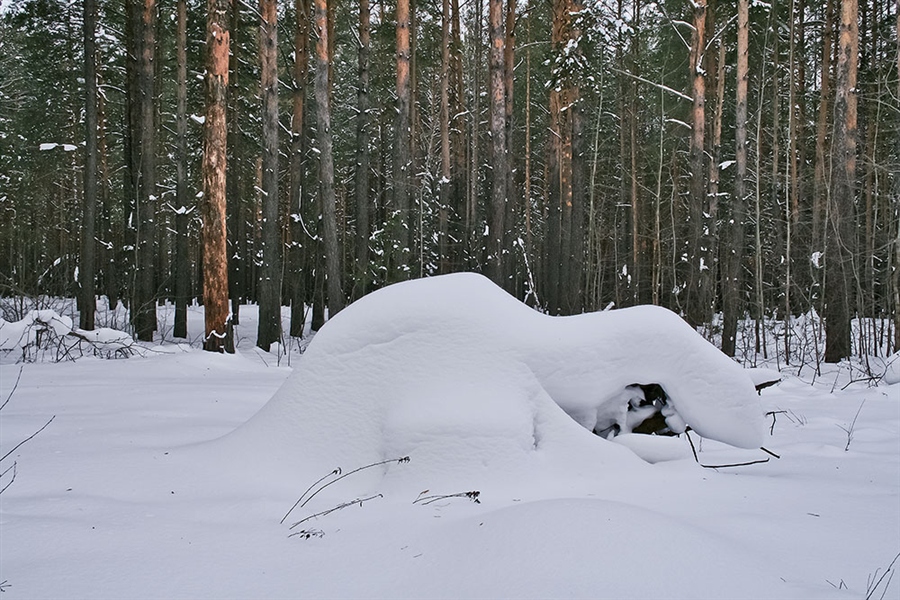 Фото жизнь