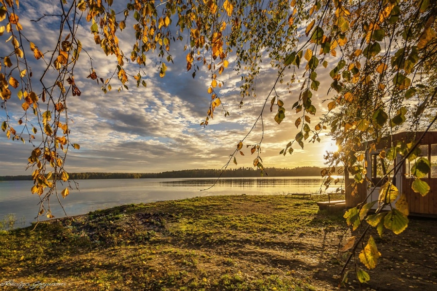 Фото жизнь