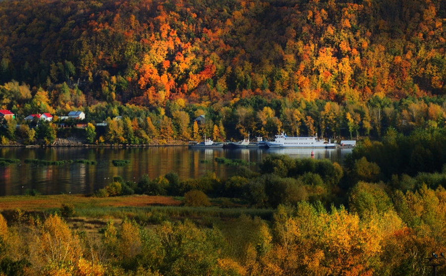 Фото жизнь