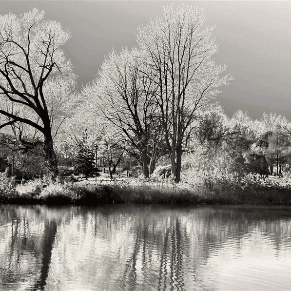 Фото жизнь (light) - Janna K. - корневой каталог - В конце октября