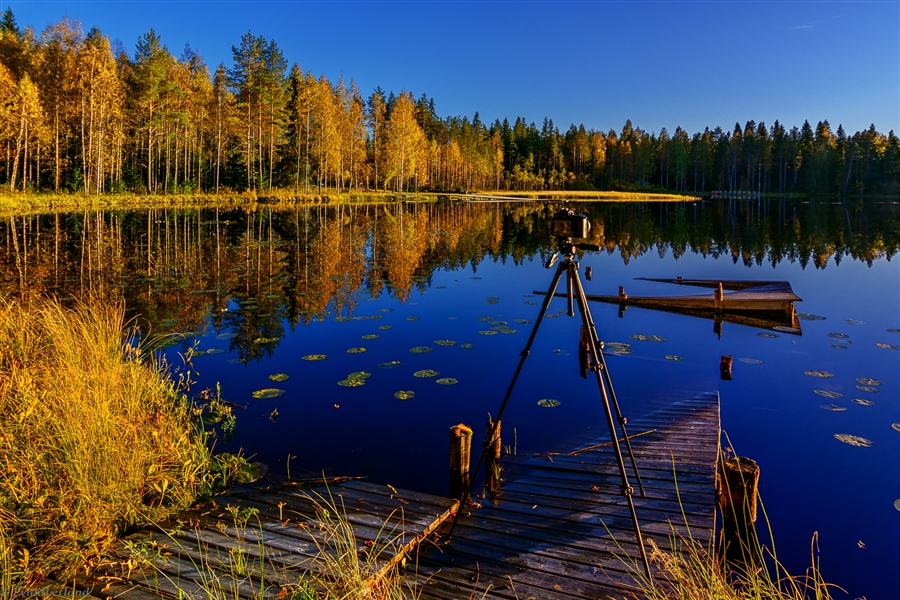 Фото жизнь
