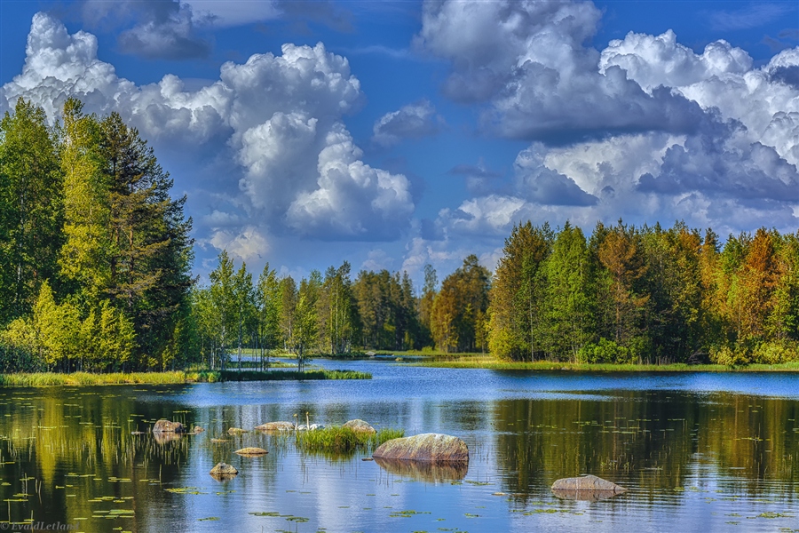 Фото жизнь