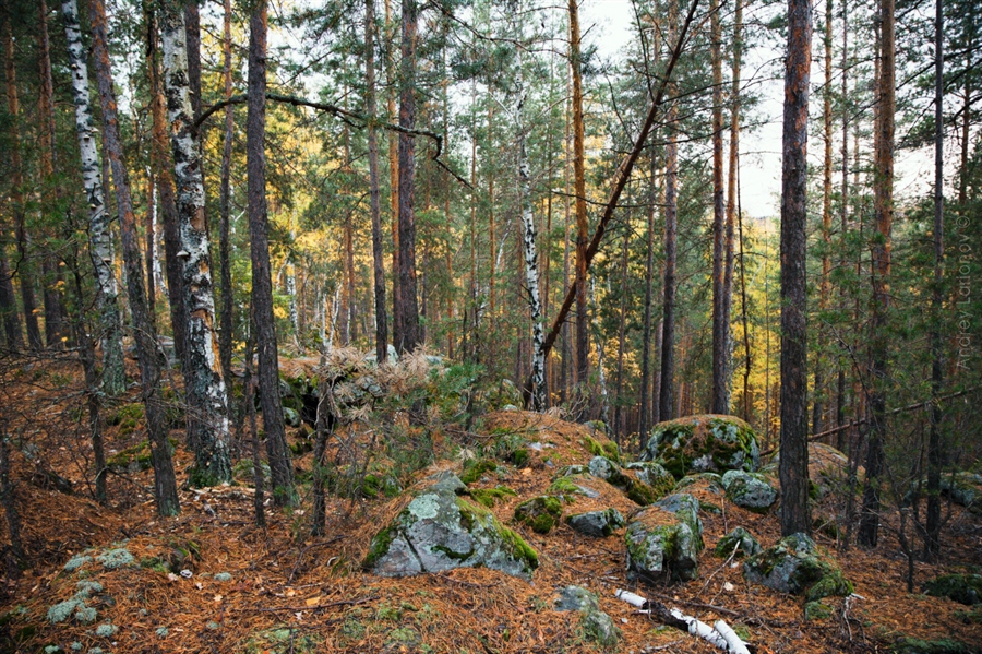 Фото жизнь