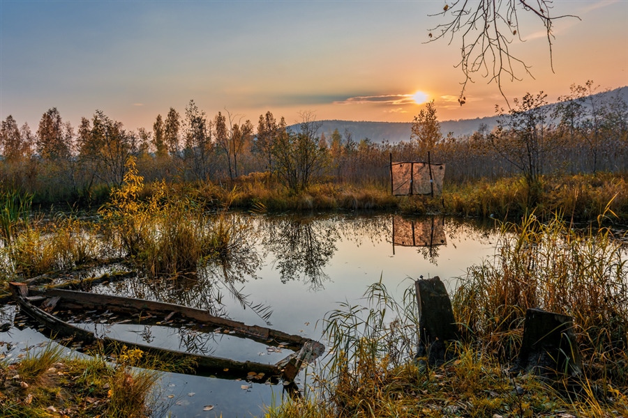 Фото жизнь