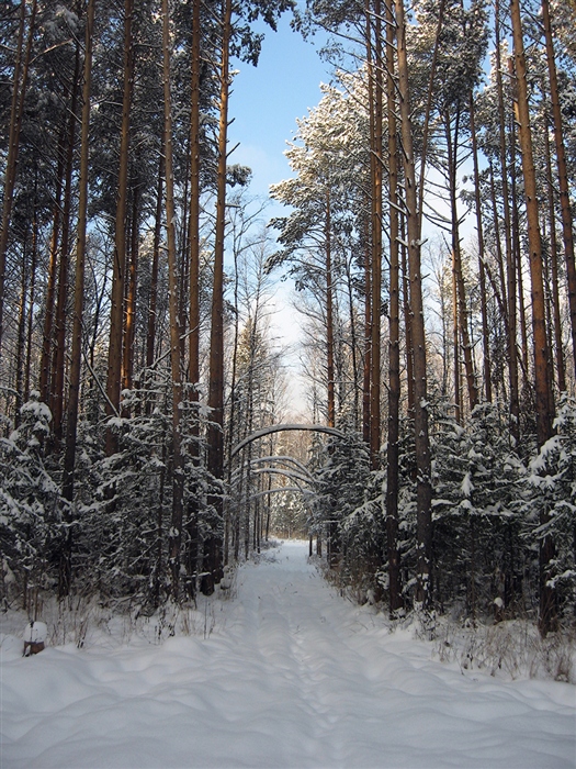 Фото жизнь