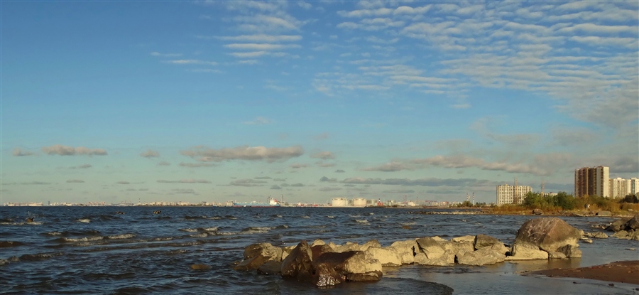 Фото жизнь