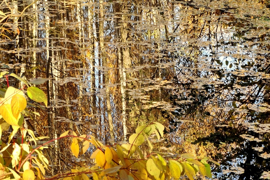 Фото жизнь
