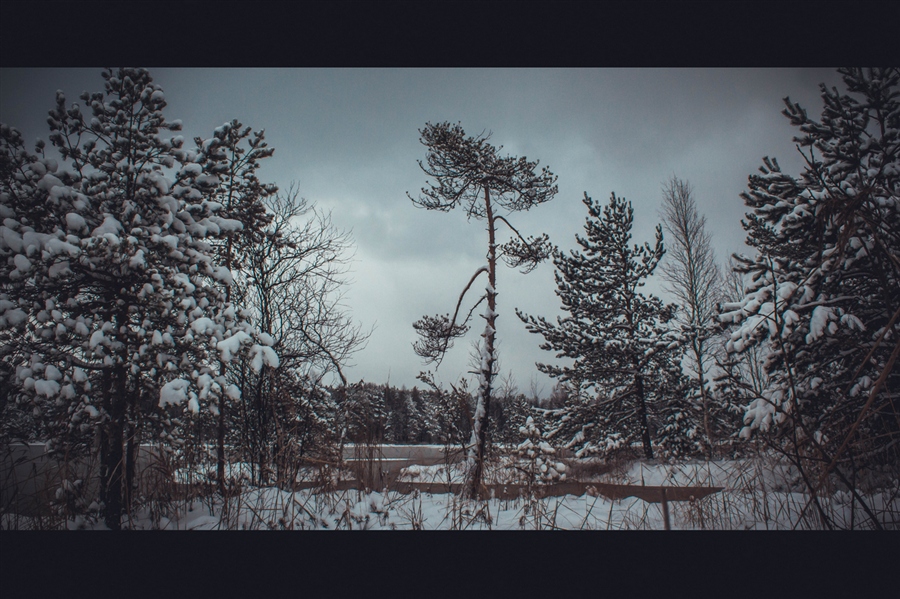 Фото жизнь