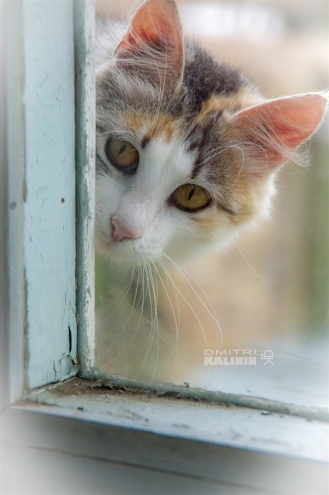 Фото жизнь
