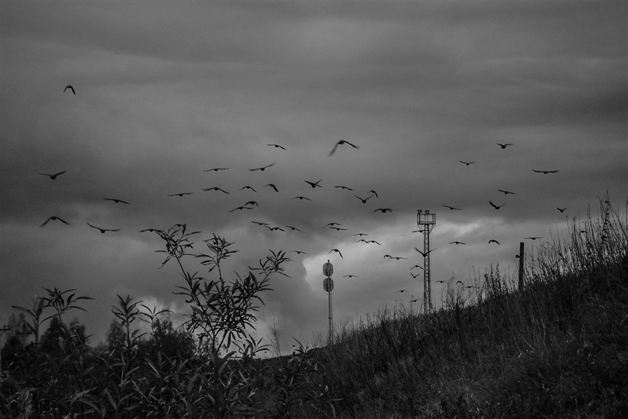 Фото жизнь