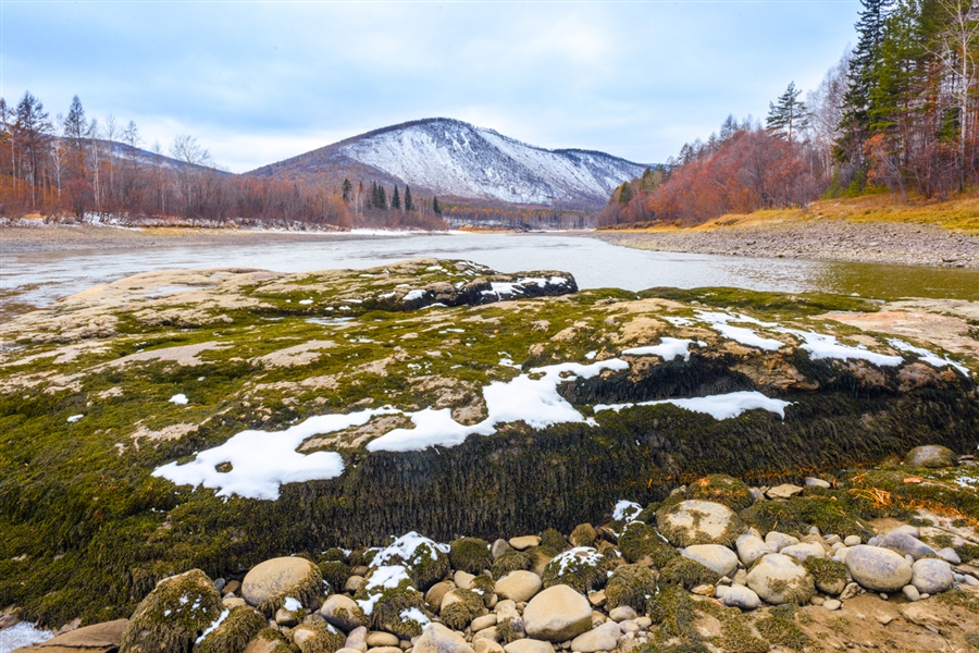 Фото жизнь
