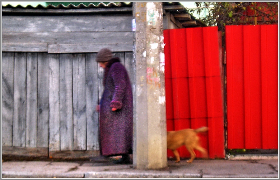 Фото жизнь