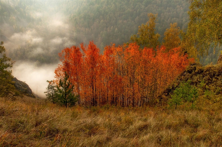 Фото жизнь